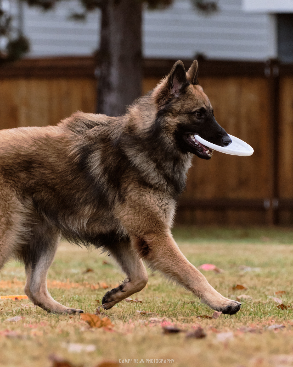 Flynt carries a disc.