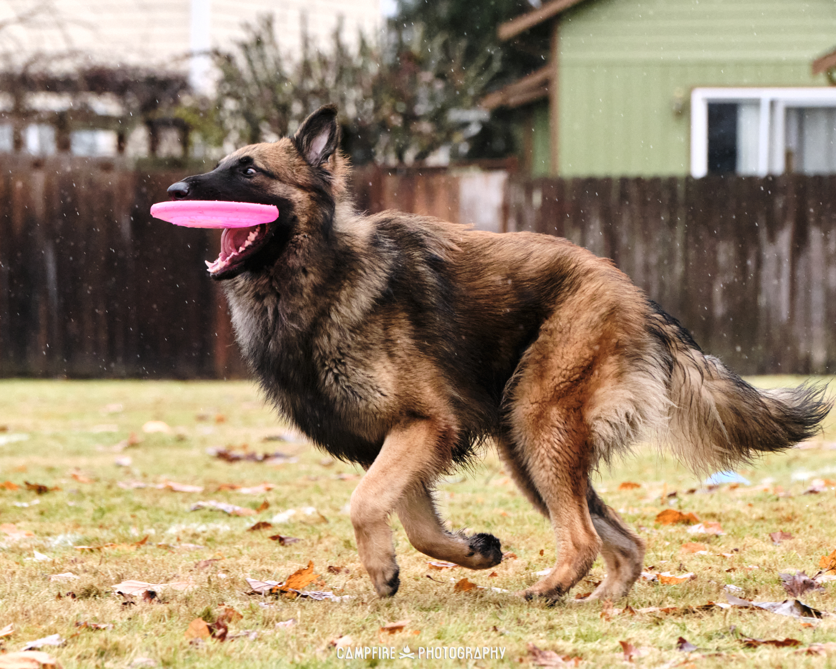 Flynt catches a disc.