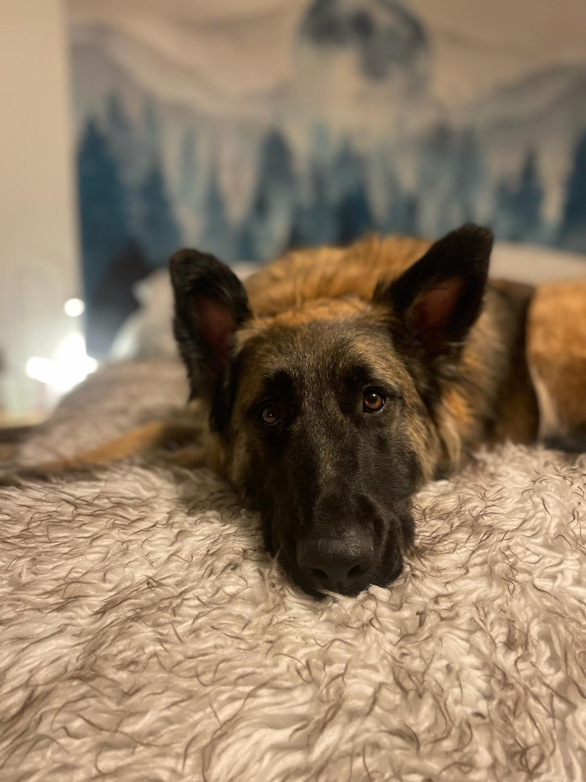 Lenore relaxing on the bed.