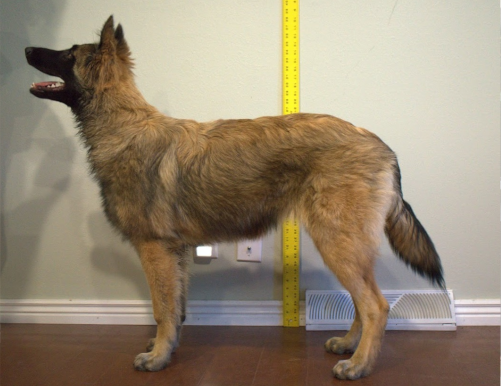 Stacked picture of Lenore at six months of age