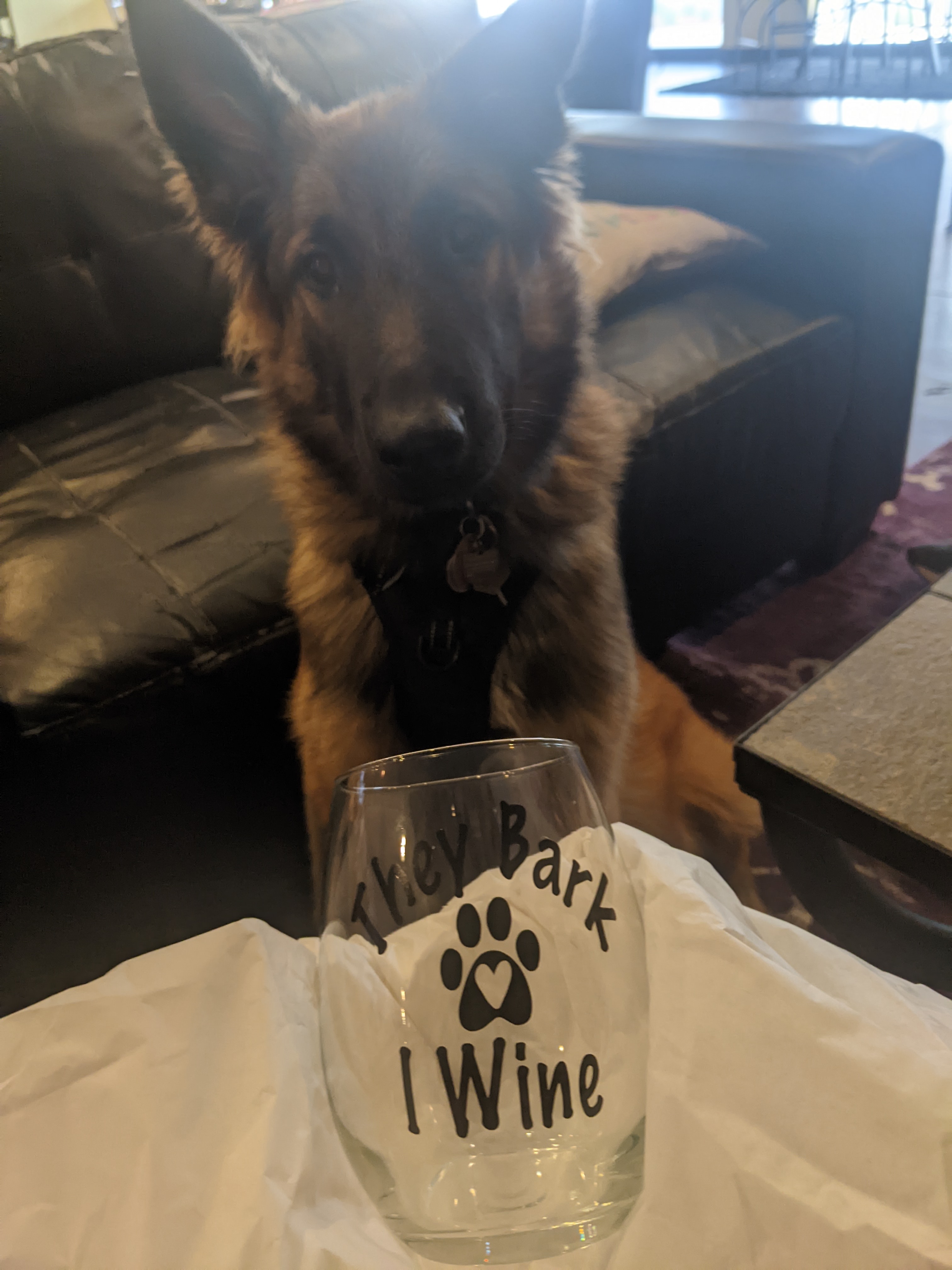 Rodan posing with a dog themed wine glass