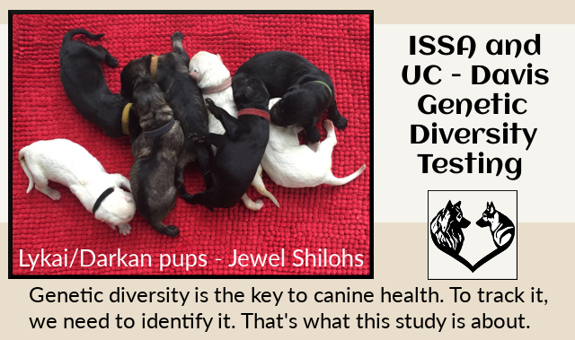 UC-Davis diversity study banner