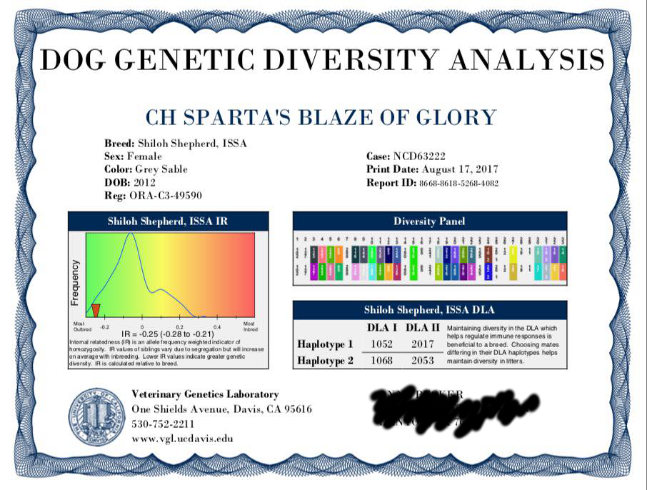 Diversity certificate for Blazie